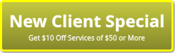 Salon Plaza Rockville New Client Offer - Get $10 Off Services of $50 or more